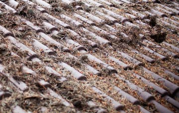 Hundalee roof cleaning companies