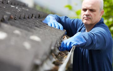 cleaning and inspecting Hundalee roofs